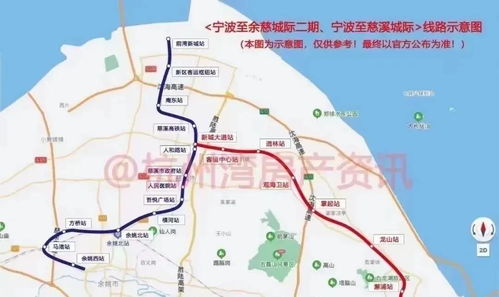 快速生根粉怎么用？效果真的那么神奇吗