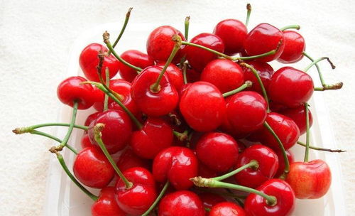 果核数量的奥秘