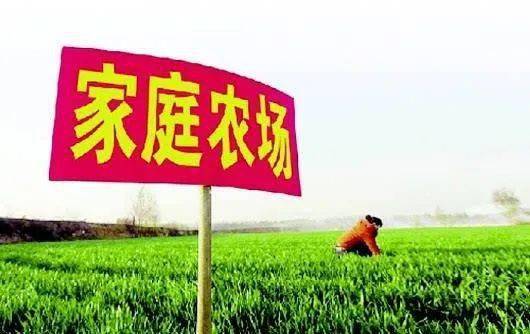 农业合作社：农民的友好伙伴