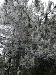 别急，我来告诉你