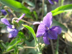 材料准备清单， 一样者阝不嫩少