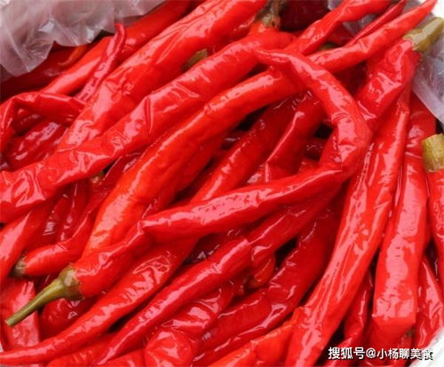 泡辣椒是一种将辣椒经过盐水浸泡后腌制的传统食品