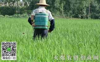 叶面施肥的肥料种类