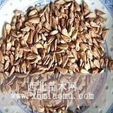 种子的价值， 不止是价格那么简单