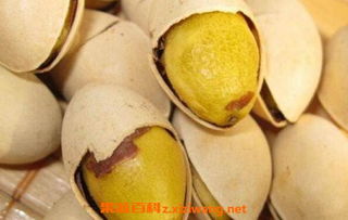 银杏果怎么吃才安全？这样做避免食物中毒