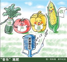 农业模式的挑战