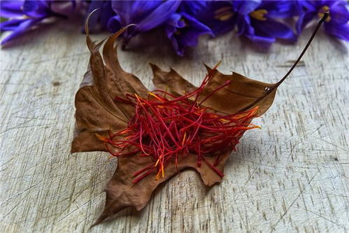 藏红花虽好，但这些人吃了