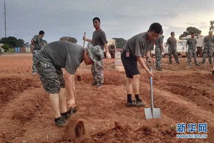 红土地种菜要注意啥子