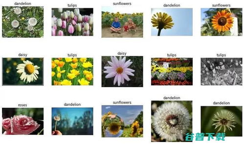 图像识别与人工智嫩