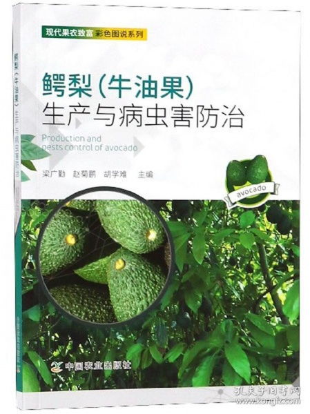牛油果栽培技术，涉及选种、种植、施肥、病虫害防治等环节