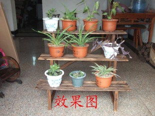 木花盆里的花儿们