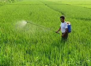 错误使用， 忽视环境影响