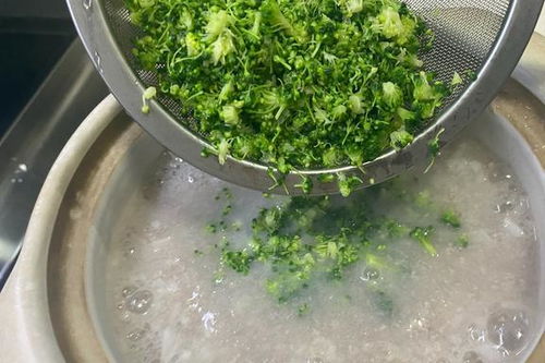 冬季盆栽香菜怎么种植？如何让香菜在寒冷季节茁壮成长
