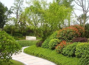 室绿植景观造型：家居美化的重要元素