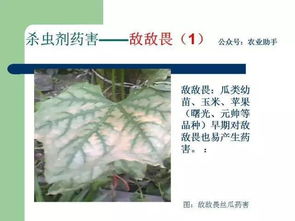 药害急救，三步走！