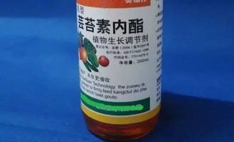 对果实品质的影响