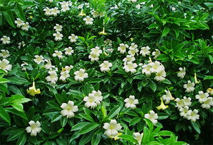 控制温度是关键