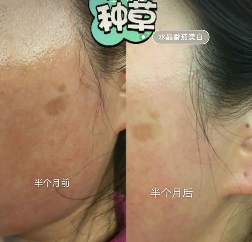 实验问答，揭秘植物奥秘