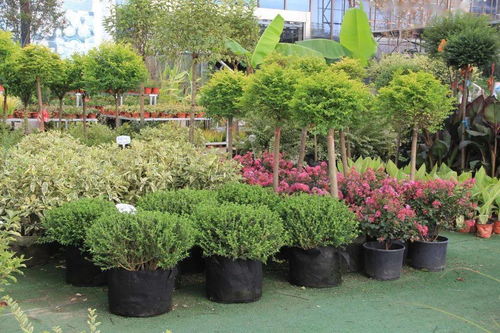 1. 春季种植：春风拂面 万物复苏