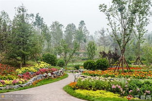 深圳园博园的植物魔法