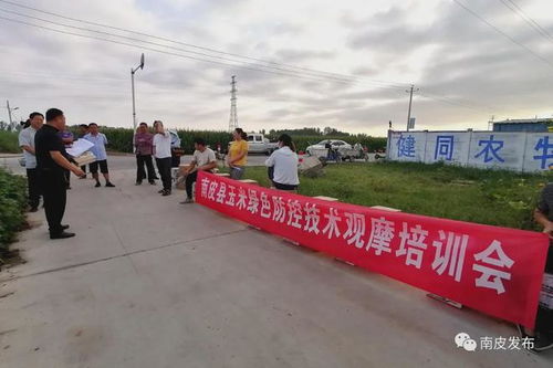 创新农业养殖：综合灭鼠技术