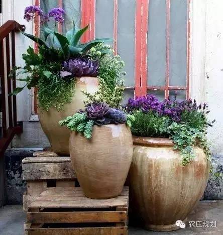 花枝如何巧妙嵌入花盆中，稳固又美观