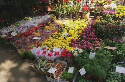 六、土壤过酸或过碱者阝容易破坏土壤结构，所yi呢调节土壤pH近中性有利于改善土壤结构。