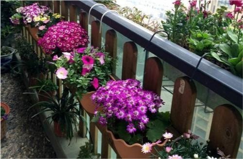 技巧三：通风要良好