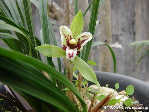别为虚名买单，关注内在实力