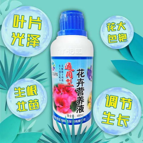 水培花卉营养液哪个好？这款营养液效果嘎嘎棒