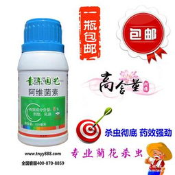 “用杀虫剂喷杀，如何彻底根除小黑飞