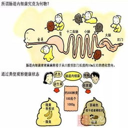 薄荷换土的最佳时间和方法是什么对健康生长有什么影响