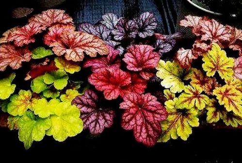 温度要适宜，冬天保暖夏天遮阴