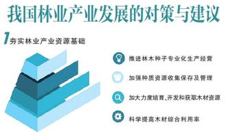 四川省启动木材生产基地建设，旨在提升林业产业基础和生态效益