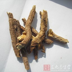 香加皮：祛风湿、强筋骨良药