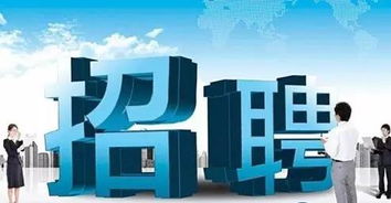 招聘岗位， 应届毕业生机会多多