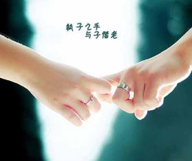 19朵玫瑰，代表爱情的多重维度