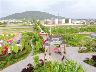 南阳卧龙区艾草产业的历史与现状