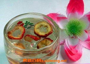 枣树根泡水的自然哲学