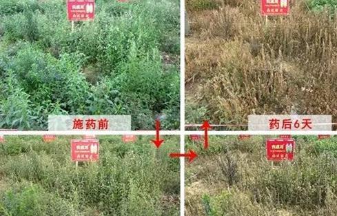 草铵膦对土壤有潜在危害，需谨慎使用