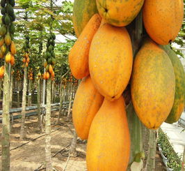 保存时间，各不相同