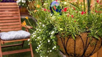 影响三：植物病虫害的增加