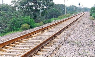 铁路路基防护， 草种选择有讲究