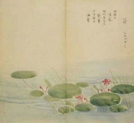 诗中的花草树木， 生命的诗篇