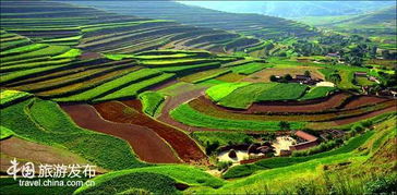 贺兰山脚下的农家院里 这三样才是标配：