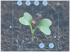 毛竹种植技术指南中，如何避免毛竹病虫害的发生？
