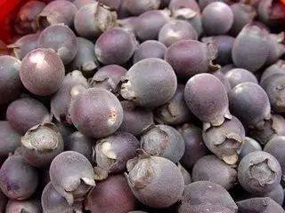 播种方法，记得哦