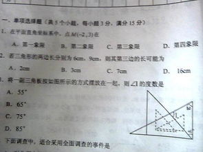 编号和林地有什么关系？