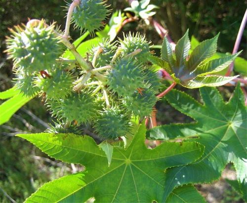 去年的那个天气，吓死人了！