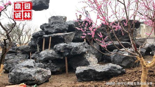 假山的制作材料揭秘